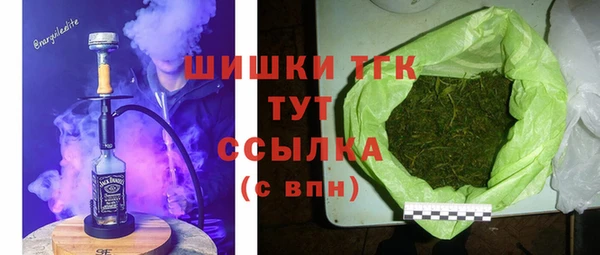 стаф Арсеньев