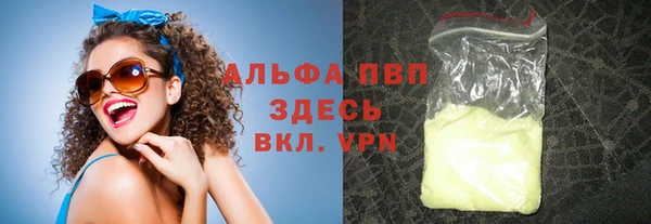 стаф Арсеньев
