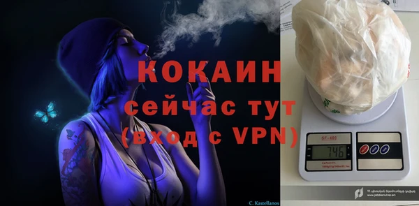 стаф Арсеньев