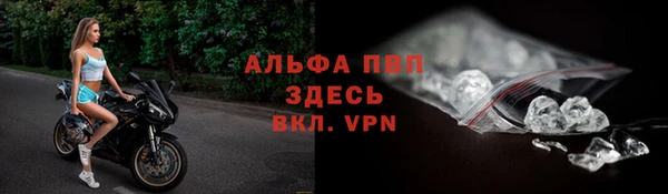 стаф Арсеньев