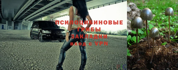 стаф Арсеньев