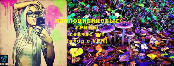MESCALINE Аркадак