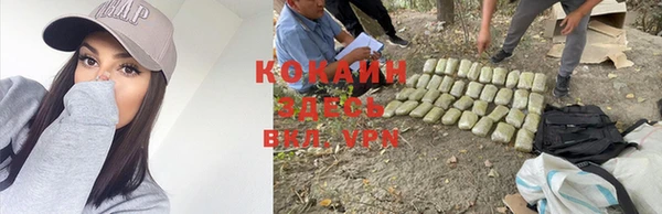 стаф Арсеньев
